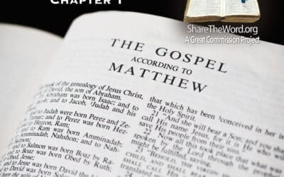 EPISODE 204 GOSPEL OF MATTHEW CHAPTER 1 “Who begat who”