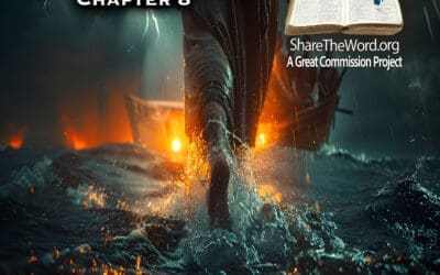 EPISODE 220 GOSPEL OF MATTHEW CHAPTER 8 “The Mystery Guest”
