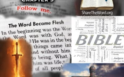 EPISODE 221 GOSPEL OF MATTHEW CHAPTER 9 “Go and Learn What This Means!”